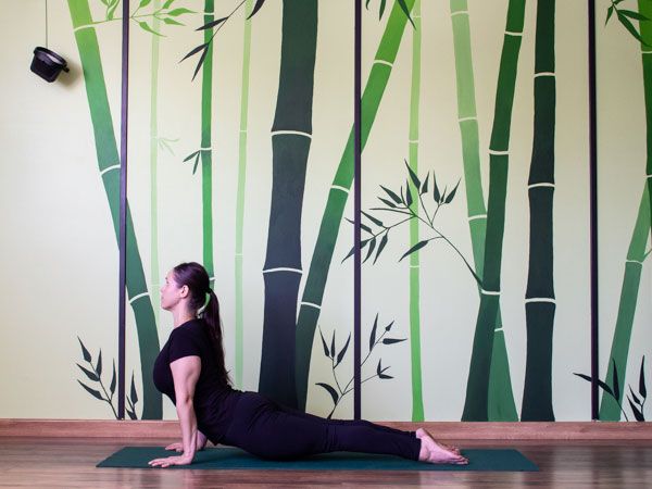 saludo-al-sol-ashtanga