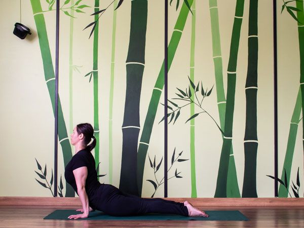 surya-namaskar-vinyasa-yoga