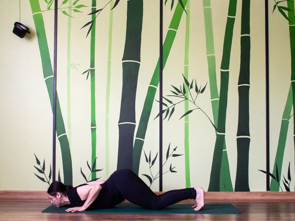 ashtangasana-postura