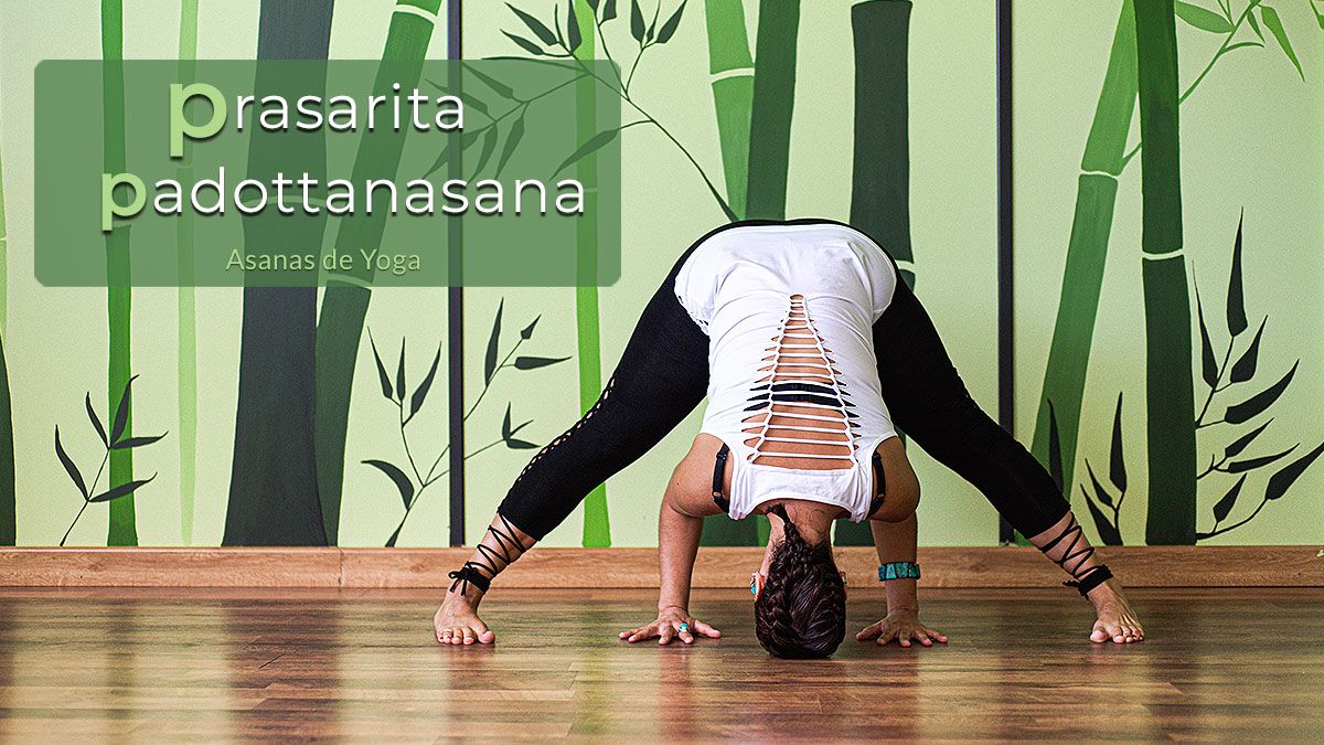prasarita-padottanasana-beneficios