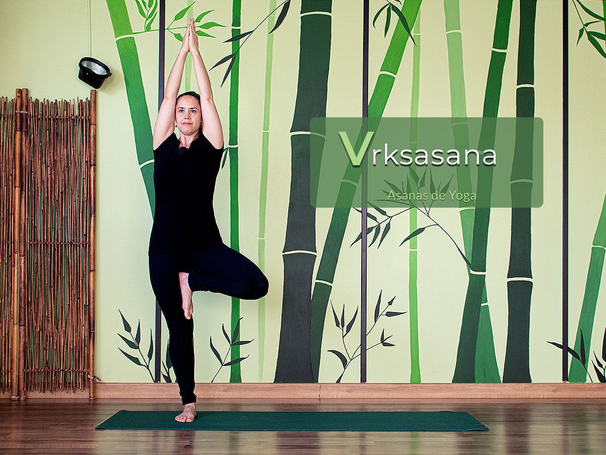 postura-del-arbol-yoga