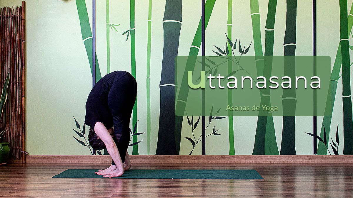 beneficios-uttanasana