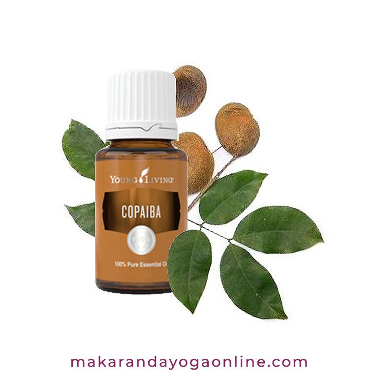 copaiba-young-living-para-que-sirve