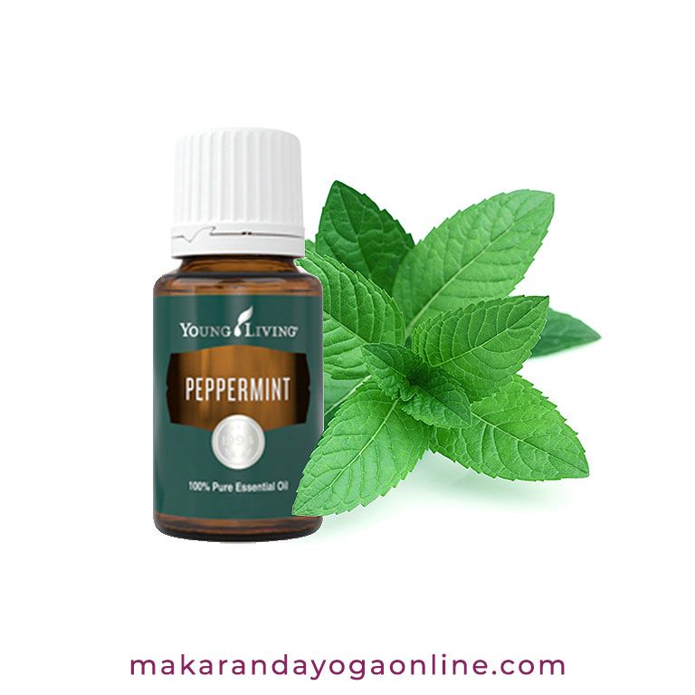 young-living-menta