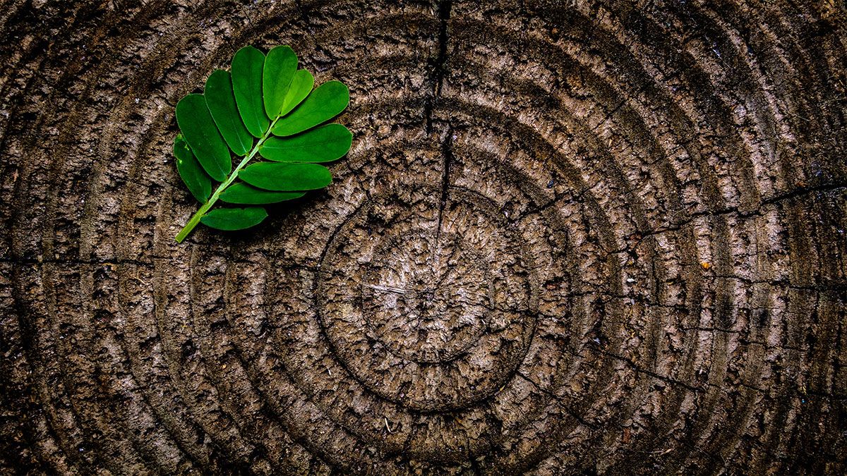 niyamas-yoga-sutras